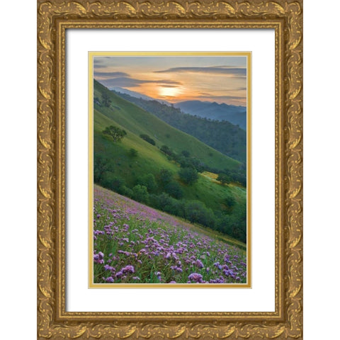 Caliente Bodfish I Gold Ornate Wood Framed Art Print with Double Matting by Geistweite, Mark