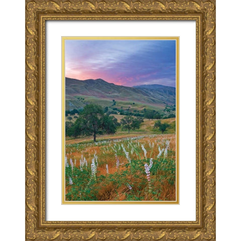 Caliente Bodfish II Gold Ornate Wood Framed Art Print with Double Matting by Geistweite, Mark
