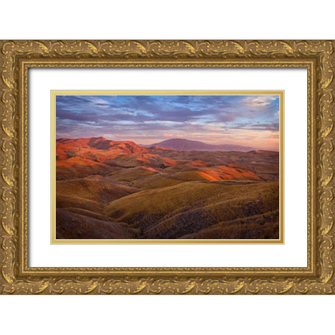 Parched Palette Gold Ornate Wood Framed Art Print with Double Matting by Geistweite, Mark