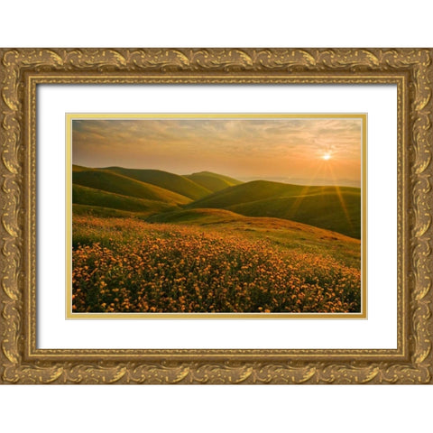 Spring Riot I Gold Ornate Wood Framed Art Print with Double Matting by Geistweite, Mark
