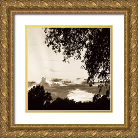 Sunset Trees Sepia Sq I Gold Ornate Wood Framed Art Print with Double Matting by Hausenflock, Alan