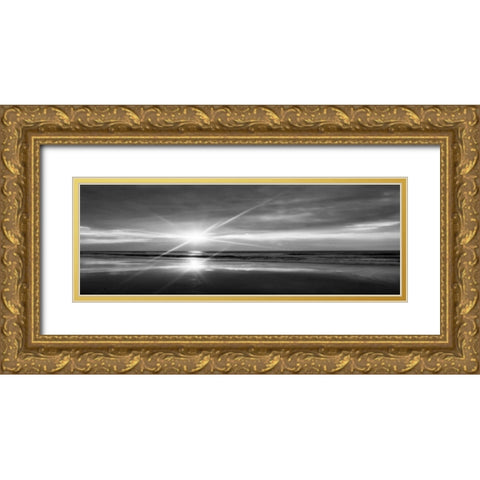 Beauteous Light Panel Bw I Gold Ornate Wood Framed Art Print with Double Matting by Hausenflock, Alan
