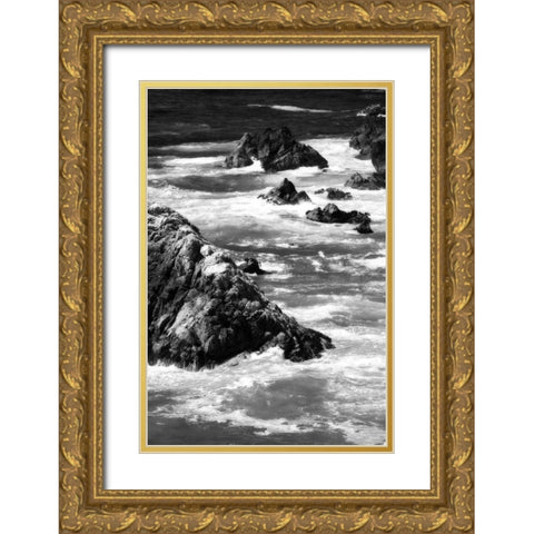 Garrapata Highlands 6 BW Gold Ornate Wood Framed Art Print with Double Matting by Hausenflock, Alan