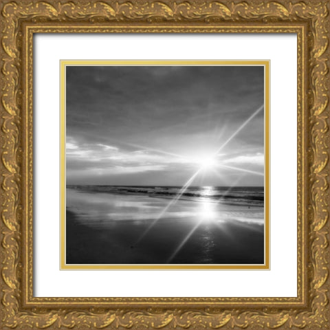 Beauteous Light IV Gold Ornate Wood Framed Art Print with Double Matting by Hausenflock, Alan