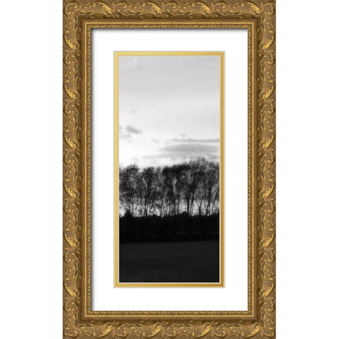 Winter Sunset BW IV Gold Ornate Wood Framed Art Print with Double Matting by Hausenflock, Alan