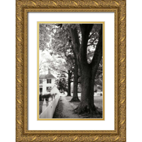 Small Town Autumn IV Gold Ornate Wood Framed Art Print with Double Matting by Hausenflock, Alan