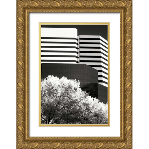 Geometric III Gold Ornate Wood Framed Art Print with Double Matting by Hausenflock, Alan