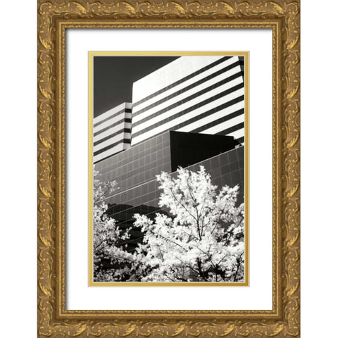 Geometric IV Gold Ornate Wood Framed Art Print with Double Matting by Hausenflock, Alan