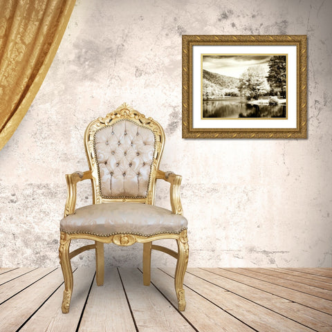 Mountain Lake I Gold Ornate Wood Framed Art Print with Double Matting by Hausenflock, Alan