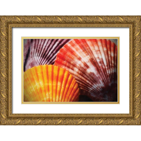 Scallops I Gold Ornate Wood Framed Art Print with Double Matting by Hausenflock, Alan