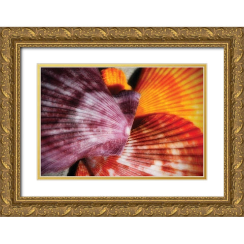 Scallops II Gold Ornate Wood Framed Art Print with Double Matting by Hausenflock, Alan