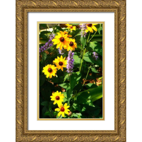 Summer Glory II Gold Ornate Wood Framed Art Print with Double Matting by Hausenflock, Alan