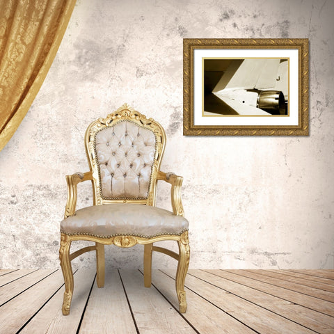 Tomcat II Gold Ornate Wood Framed Art Print with Double Matting by Hausenflock, Alan