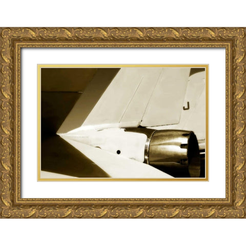 Tomcat II Gold Ornate Wood Framed Art Print with Double Matting by Hausenflock, Alan