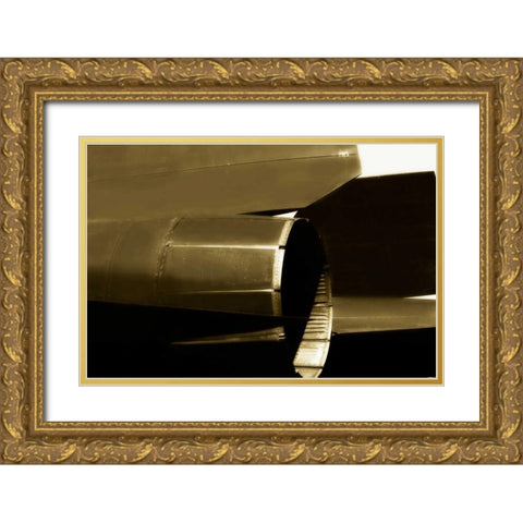 Blackbird II Gold Ornate Wood Framed Art Print with Double Matting by Hausenflock, Alan