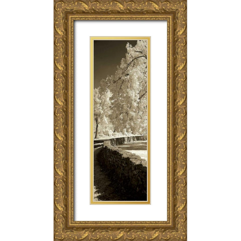 Seminary Wall Panel Gold Ornate Wood Framed Art Print with Double Matting by Hausenflock, Alan