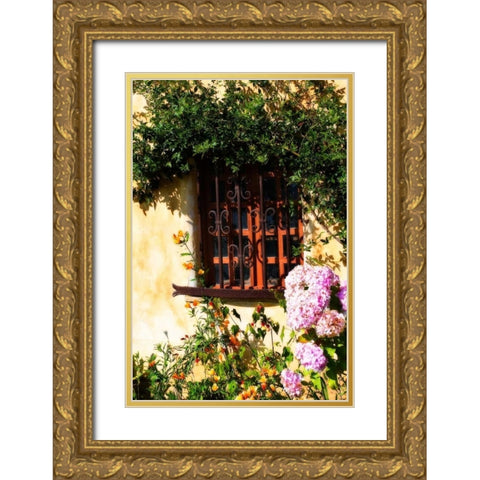 Mission Window Gold Ornate Wood Framed Art Print with Double Matting by Hausenflock, Alan