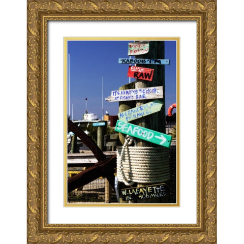 Which Way I Gold Ornate Wood Framed Art Print with Double Matting by Hausenflock, Alan