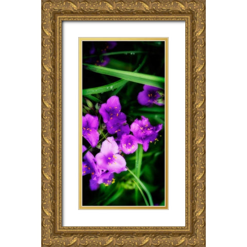 Spiderwort II Gold Ornate Wood Framed Art Print with Double Matting by Hausenflock, Alan
