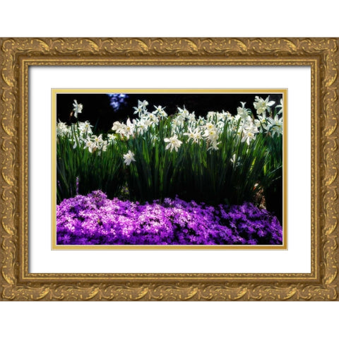 Spring Daffodils I Gold Ornate Wood Framed Art Print with Double Matting by Hausenflock, Alan