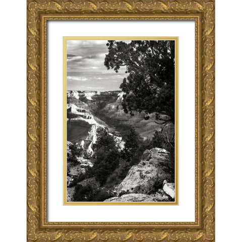Canyon Gorge I Gold Ornate Wood Framed Art Print with Double Matting by Hausenflock, Alan