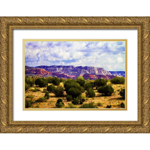 The High Desert I Gold Ornate Wood Framed Art Print with Double Matting by Hausenflock, Alan