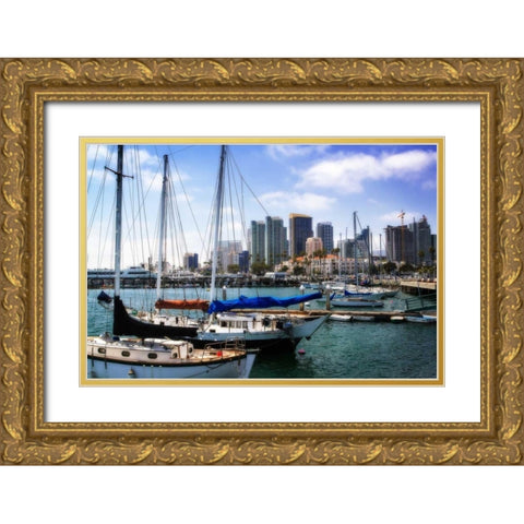 San Diego Que II Gold Ornate Wood Framed Art Print with Double Matting by Hausenflock, Alan