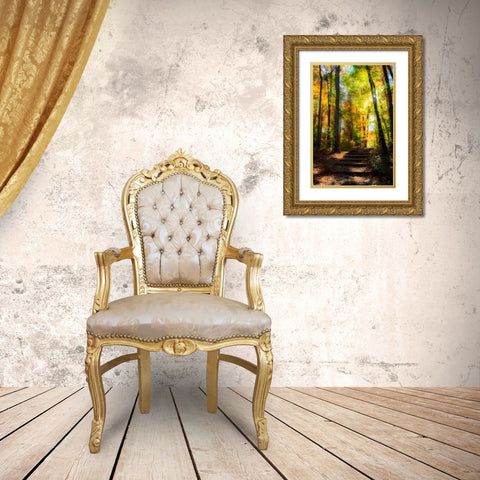 Autumn Light I Gold Ornate Wood Framed Art Print with Double Matting by Hausenflock, Alan