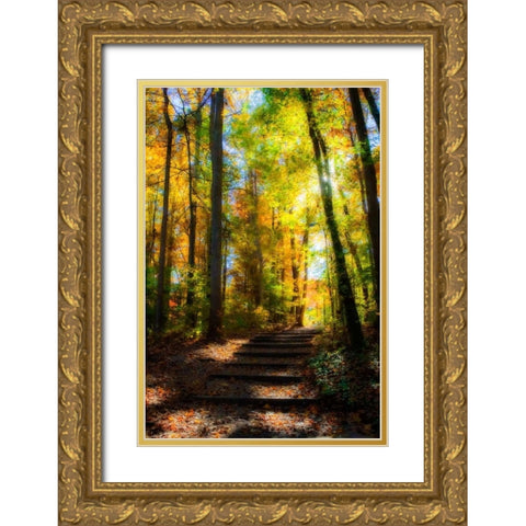 Autumn Light I Gold Ornate Wood Framed Art Print with Double Matting by Hausenflock, Alan