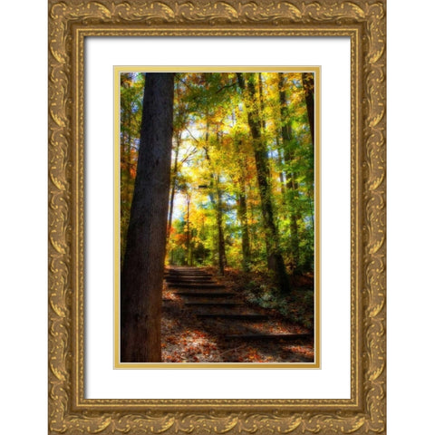 Autumn Light II Gold Ornate Wood Framed Art Print with Double Matting by Hausenflock, Alan