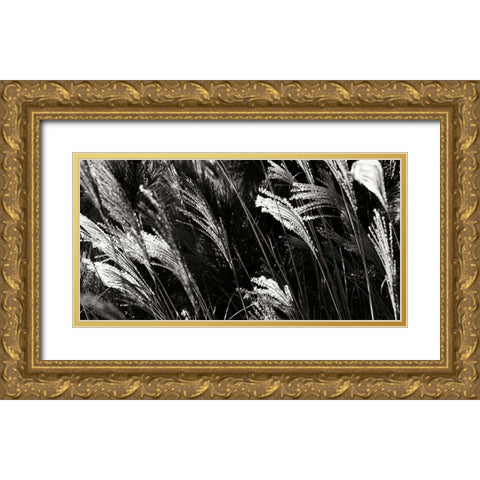 Wind Dancers I Gold Ornate Wood Framed Art Print with Double Matting by Hausenflock, Alan