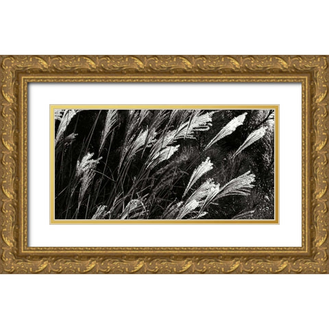 Wind Dancers II Gold Ornate Wood Framed Art Print with Double Matting by Hausenflock, Alan