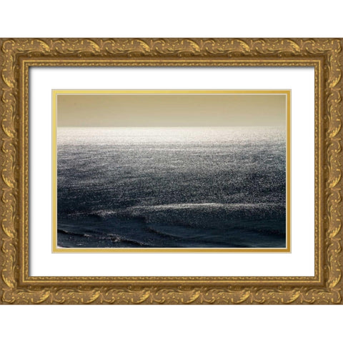 Deep Blue Sea II Gold Ornate Wood Framed Art Print with Double Matting by Hausenflock, Alan