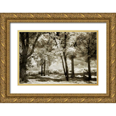 Cobb Island Channel I Gold Ornate Wood Framed Art Print with Double Matting by Hausenflock, Alan