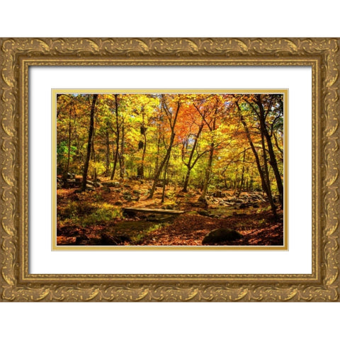 Picnic Perfect I Gold Ornate Wood Framed Art Print with Double Matting by Hausenflock, Alan
