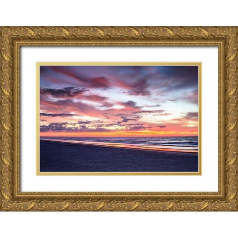 Gulls on the Shore I Gold Ornate Wood Framed Art Print with Double Matting by Hausenflock, Alan