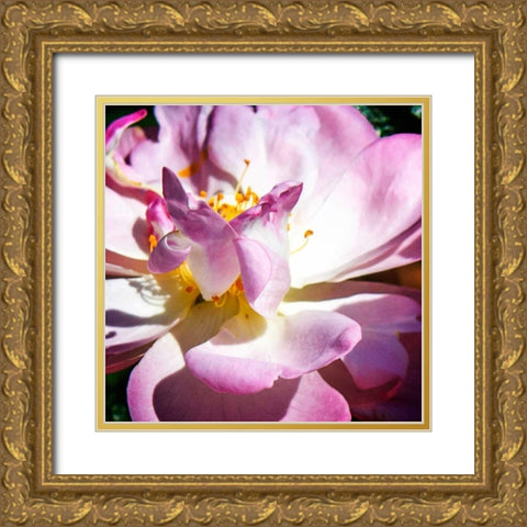 Pink Lady II Gold Ornate Wood Framed Art Print with Double Matting by Hausenflock, Alan