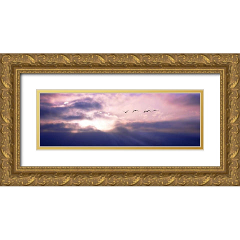 Pelicans Above the Bay Gold Ornate Wood Framed Art Print with Double Matting by Hausenflock, Alan