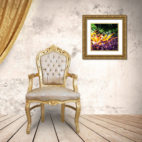 Tropical Garden II Gold Ornate Wood Framed Art Print with Double Matting by Hausenflock, Alan