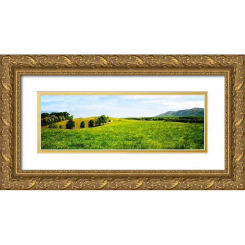 Mountain Vista I Gold Ornate Wood Framed Art Print with Double Matting by Hausenflock, Alan