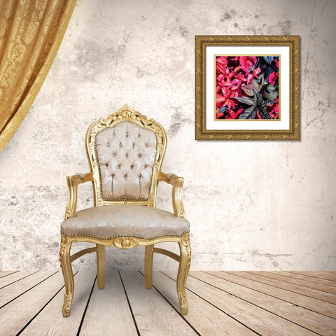 Colorful Leaves II Gold Ornate Wood Framed Art Print with Double Matting by Hausenflock, Alan