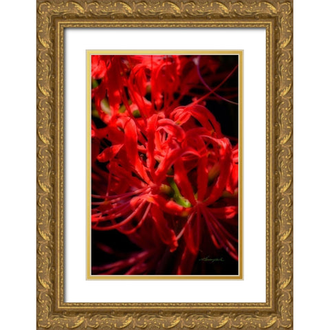 Hurricane Lily Gold Ornate Wood Framed Art Print with Double Matting by Hausenflock, Alan