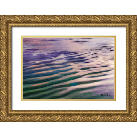 Water and Sand Gold Ornate Wood Framed Art Print with Double Matting by Hausenflock, Alan