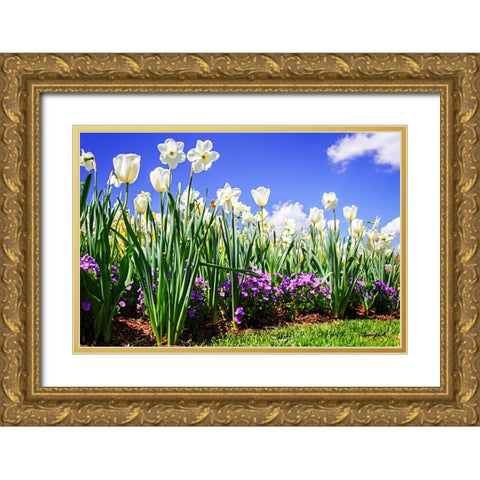 Flower Border I Gold Ornate Wood Framed Art Print with Double Matting by Hausenflock, Alan