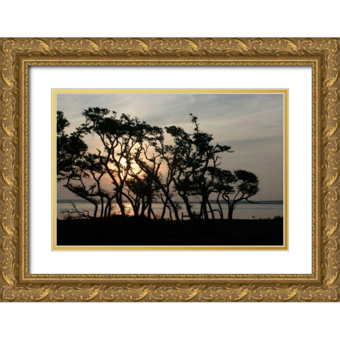 Beaufort II Gold Ornate Wood Framed Art Print with Double Matting by Hausenflock, Alan