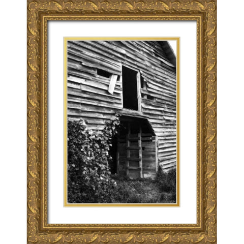 Falling Down Gold Ornate Wood Framed Art Print with Double Matting by Hausenflock, Alan
