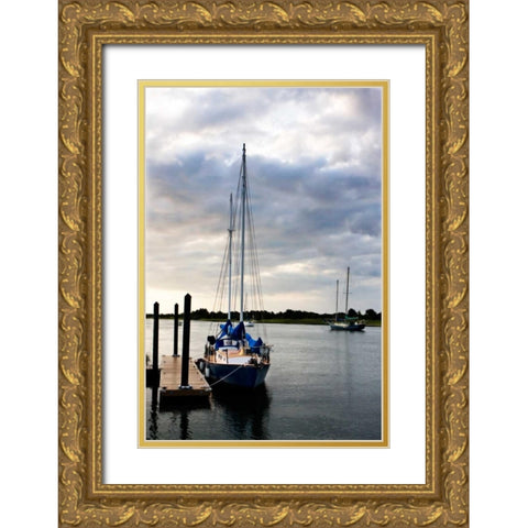 Stormy Sunrise on Taylors Creek II Gold Ornate Wood Framed Art Print with Double Matting by Hausenflock, Alan