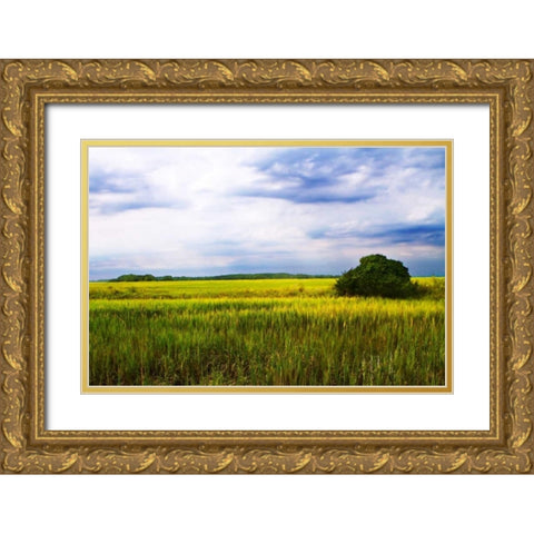 Marshland Storm II Gold Ornate Wood Framed Art Print with Double Matting by Hausenflock, Alan