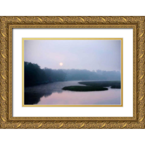 Fog on the Mattaponi I Gold Ornate Wood Framed Art Print with Double Matting by Hausenflock, Alan