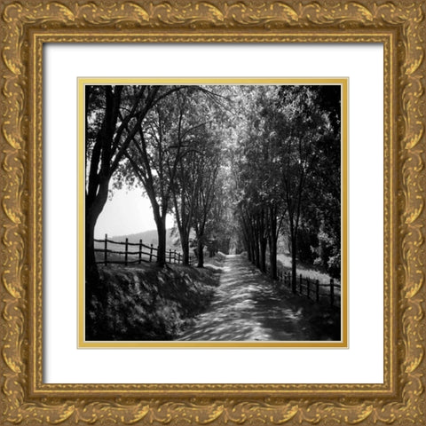 Ash Lawn Square I Gold Ornate Wood Framed Art Print with Double Matting by Hausenflock, Alan